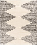 surya beni shag bsh 2308 charcoal rugs