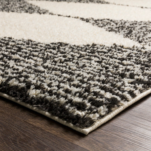 surya beni shag bsh 2308 charcoal rugs