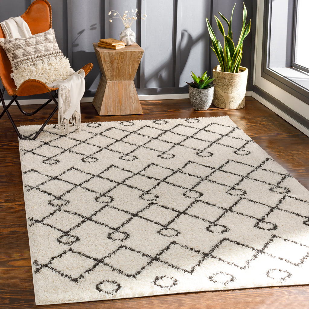 surya beni shag bsh 2313 charcoal rugs