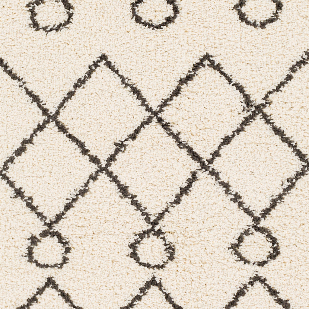 surya beni shag bsh 2313 charcoal rugs