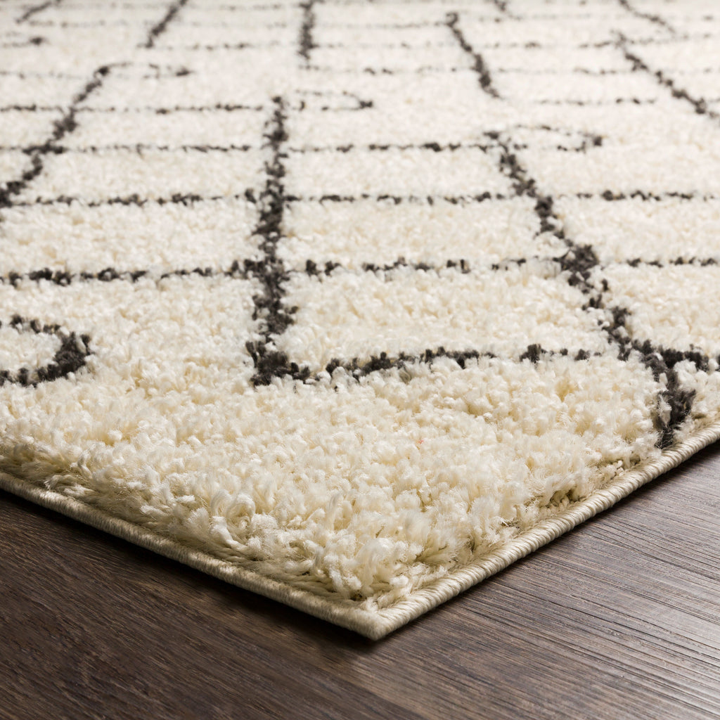 surya beni shag bsh 2313 charcoal rugs