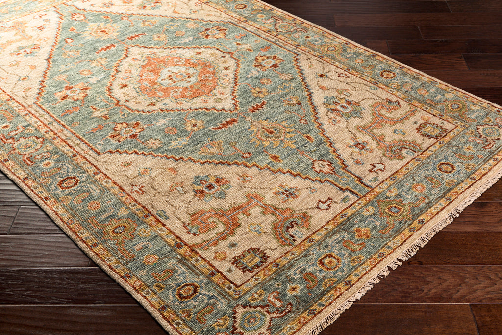 surya biscayne bsy 2301 aqua rug