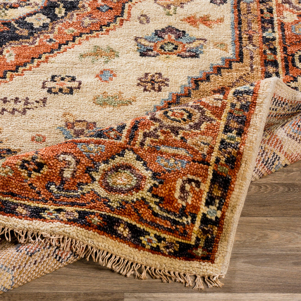 surya biscayne bsy 2302 aqua rug