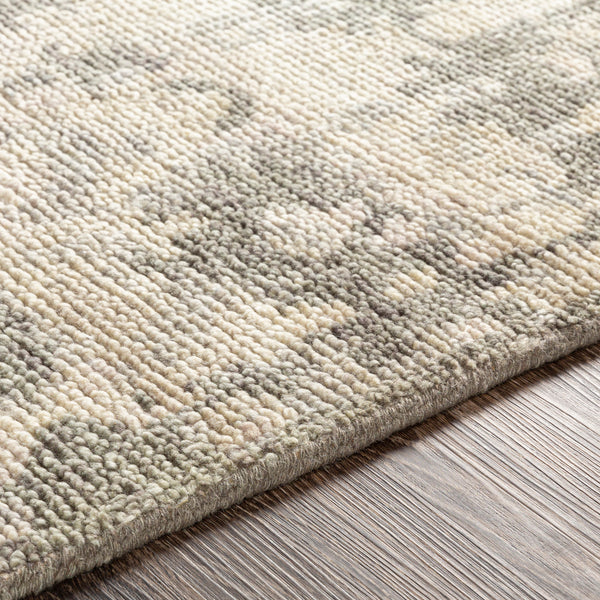 surya rug co biscayne bsy 2309 sage rug