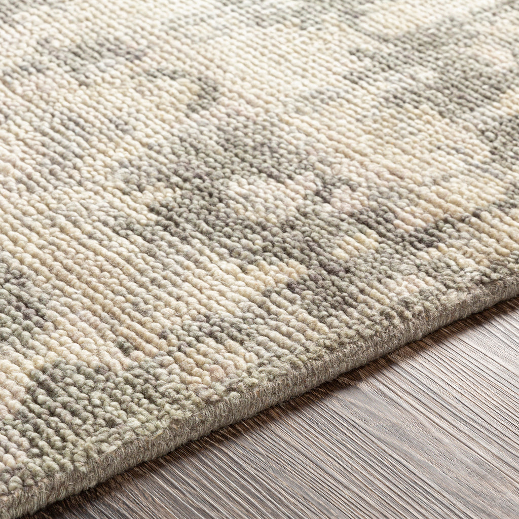 surya rug co biscayne bsy 2309 sage rug
