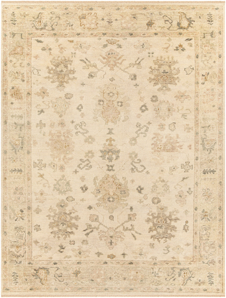 surya biscayne bsy 2312 beige rug