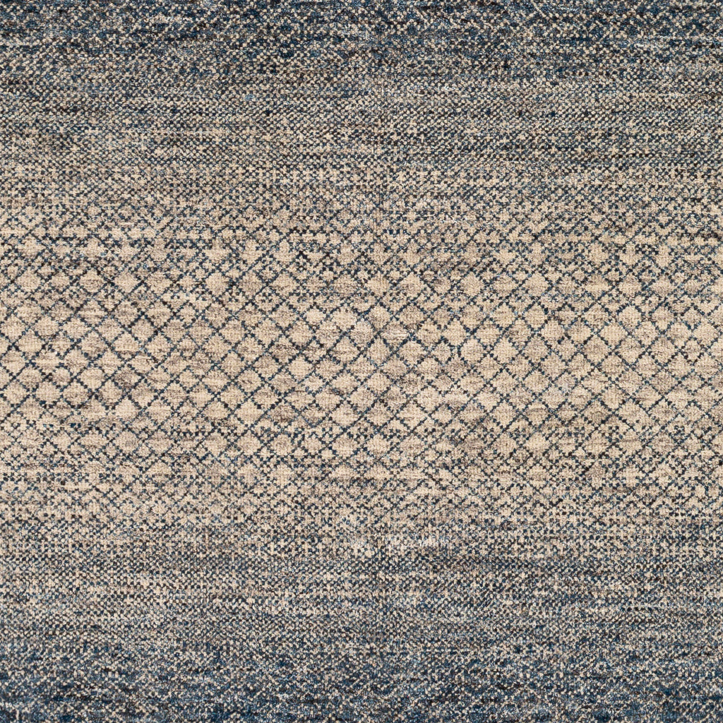 surya bethesda btd 2302 dark blue rug