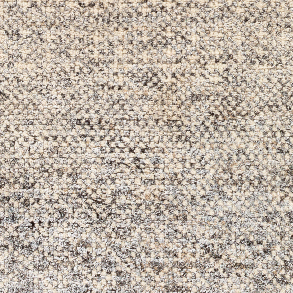 surya bethesda btd 2303 charcoal rug