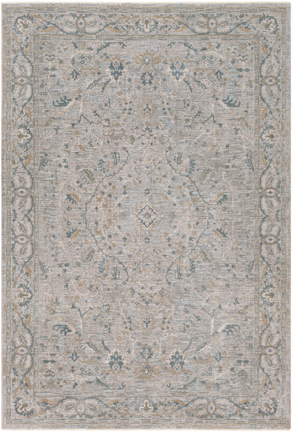 surya brunswick bwk 2313 beige rug