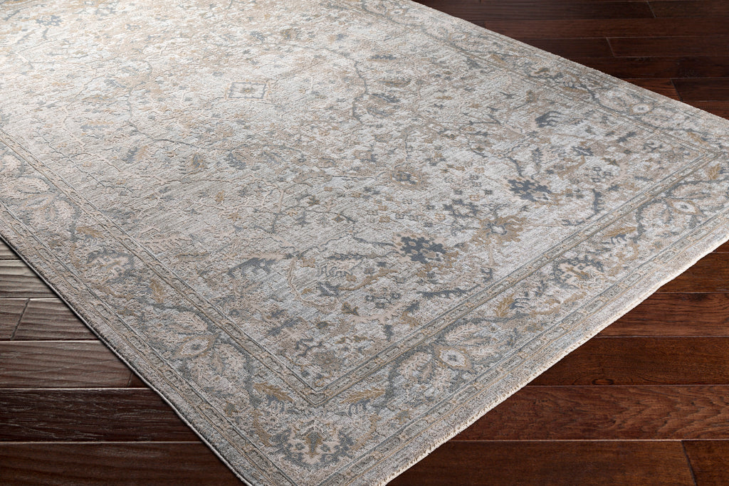surya brunswick bwk 2313 beige rug