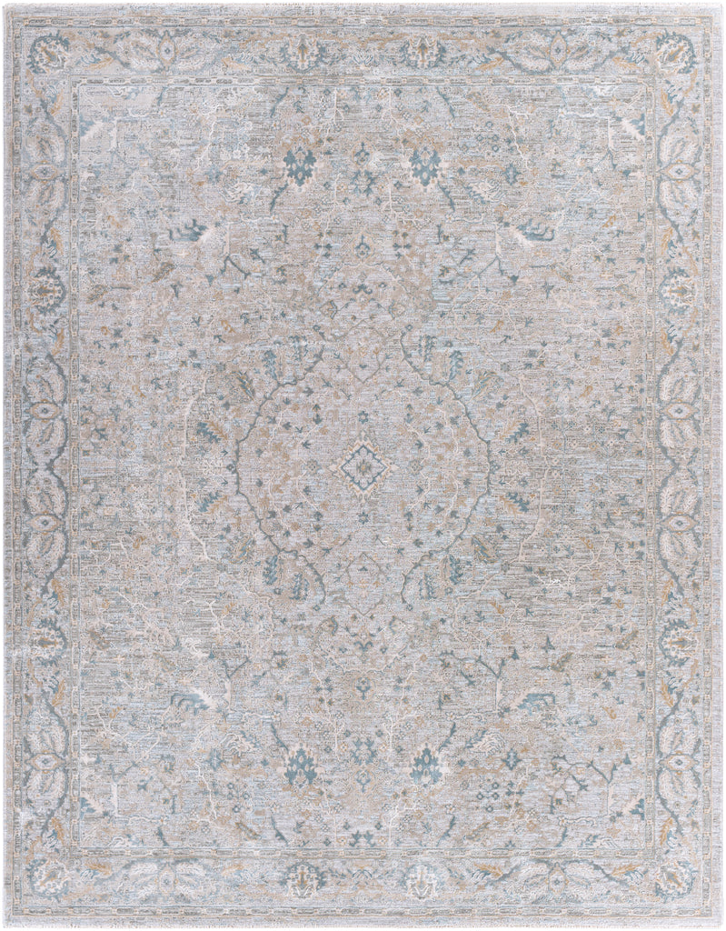 surya brunswick bwk 2313 beige rug