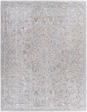 surya brunswick bwk 2313 beige rug
