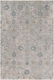 surya brunswick bwk 2315 sage rug