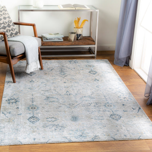 surya brunswick bwk 2316 sage rug