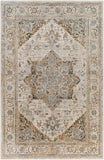 surya brunswick bwk 2318 dusty sage rug