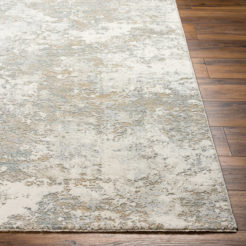 surya brunswick bwk 2322 light grey rug