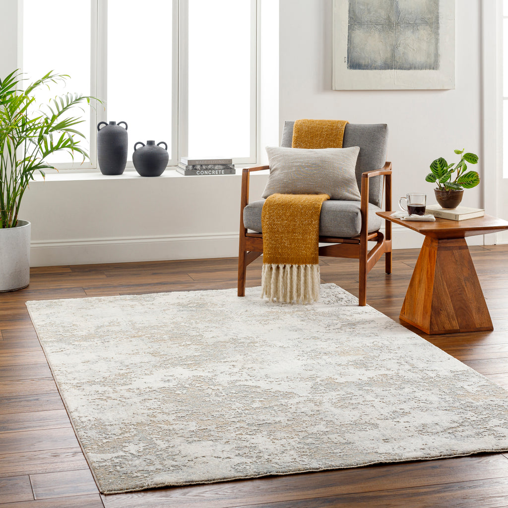 surya brunswick bwk 2322 light grey rug