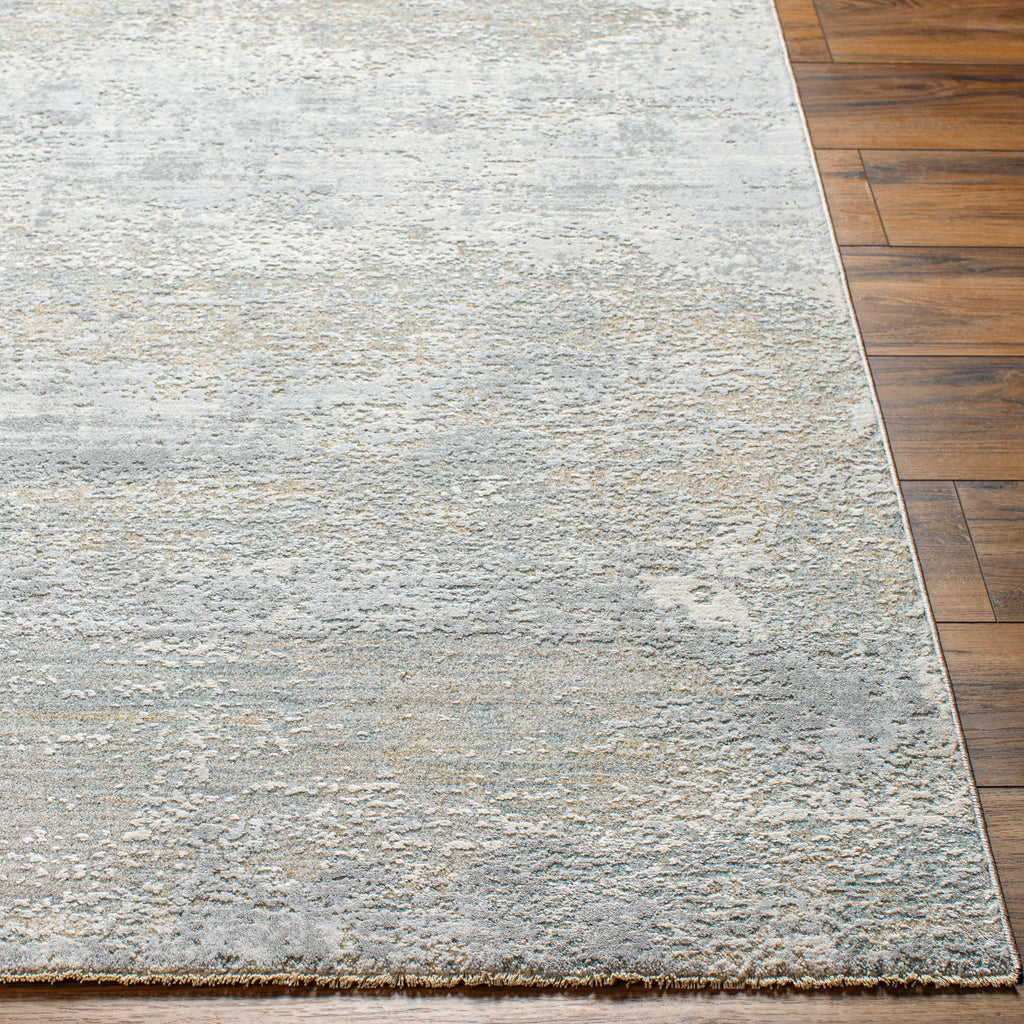 surya brunswick bwk 2325 taupe rug