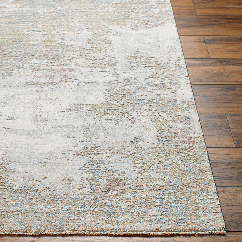 surya brunswick bwk 2333 light grey rug