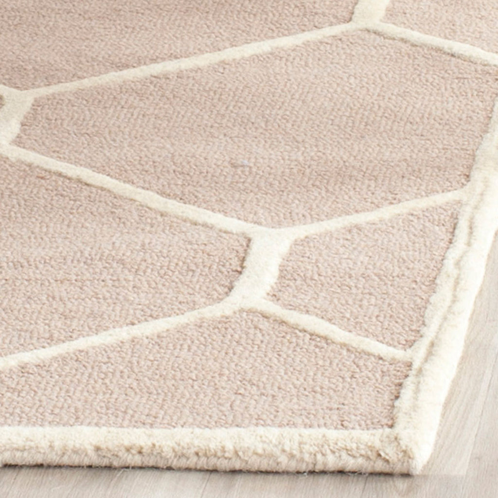 Safavieh Clearance Cambridge CAM144J Beige Rug