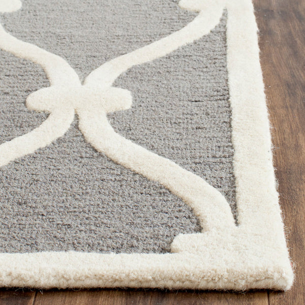 Safavieh Clearance Cambridge CAM710D Dark Grey Rug