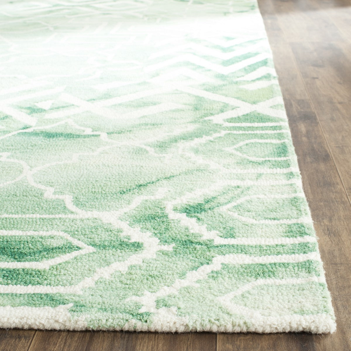 Safavieh Clearance Dip Dyes DDY678Q Green Rug