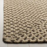 Safavieh Clearance Braided BRD173A Beige Rug
