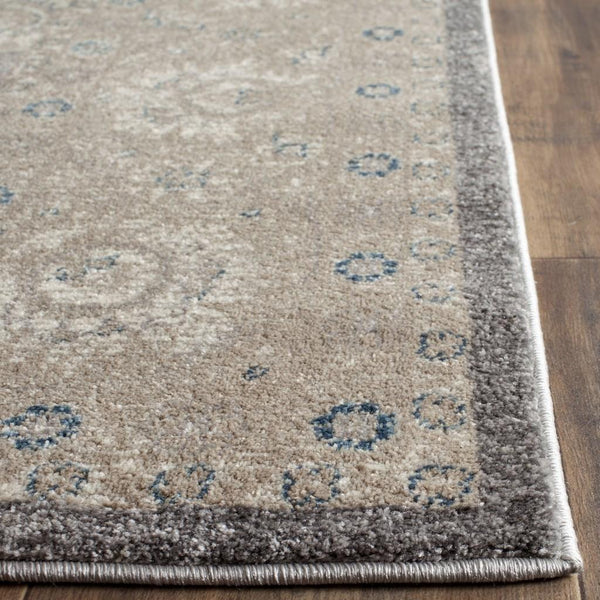 Safavieh Clearance Sophia SOF330B Light Grey Rug