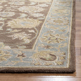 Safavieh Clearance Heritage HG343J Brown Rug