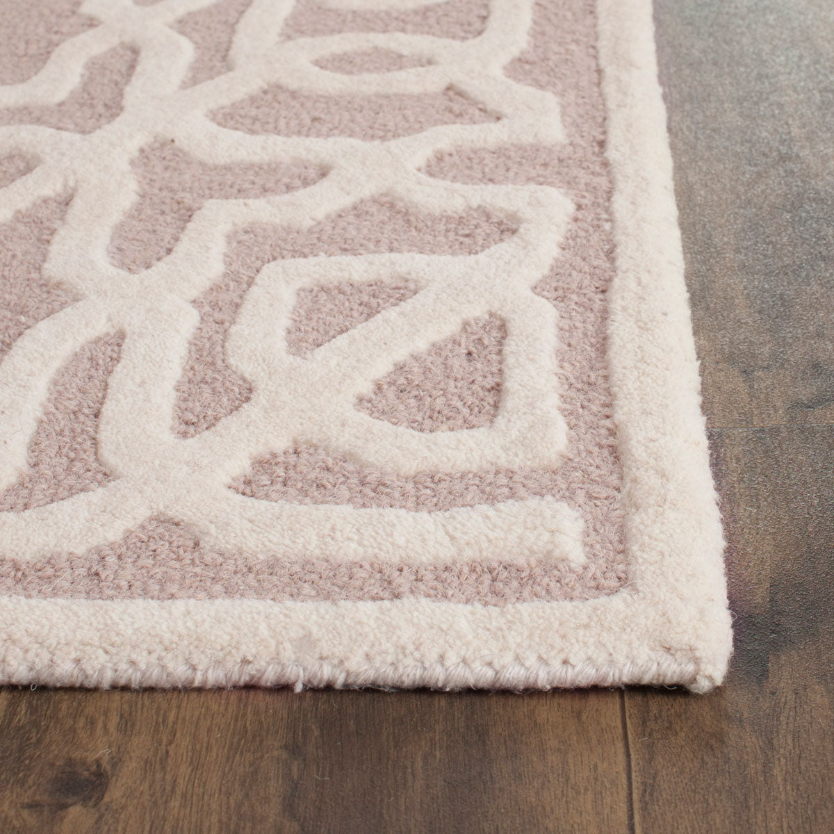 Safavieh Clearance Cambridge CAM570J Beige Rug