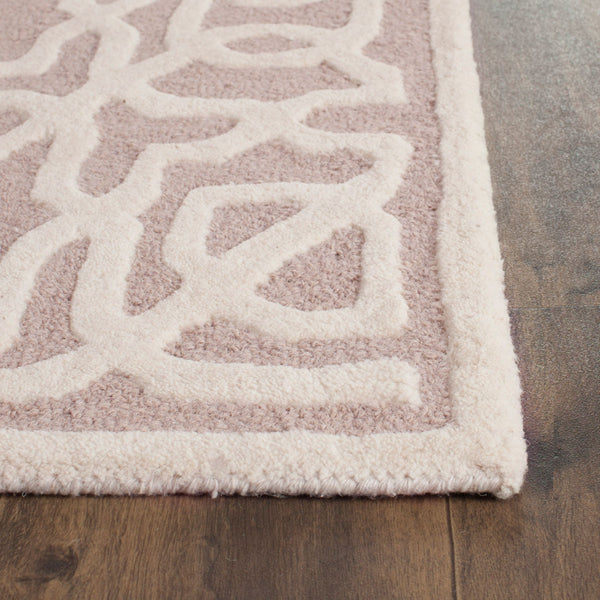 Safavieh Clearance Cambridge CAM570J Beige Rug