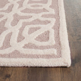 Safavieh Clearance Cambridge CAM570J Beige Rug