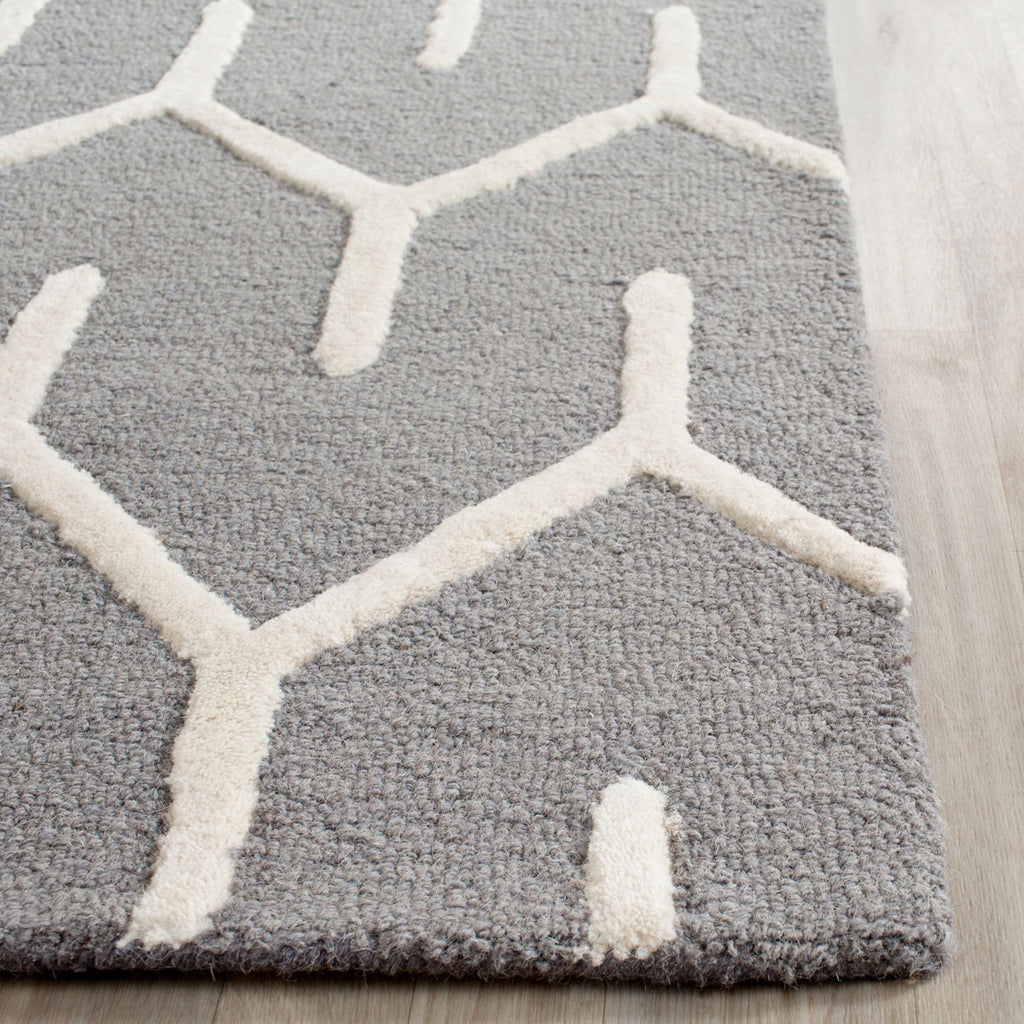 Safavieh Clearance Cambridge CAM720D Dark Grey Rug