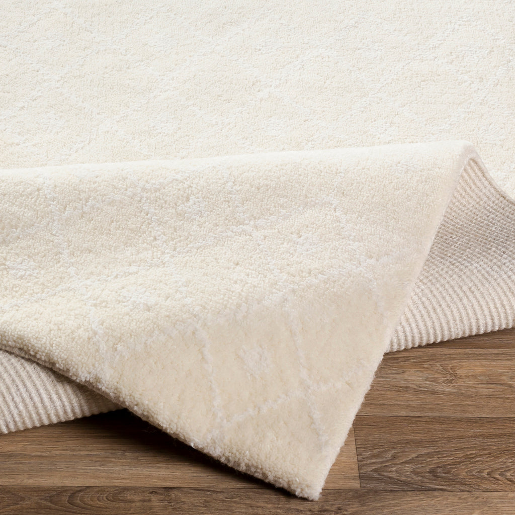 Surya Casa Cream Rug | Cream Rugs | Rugs Done Right 