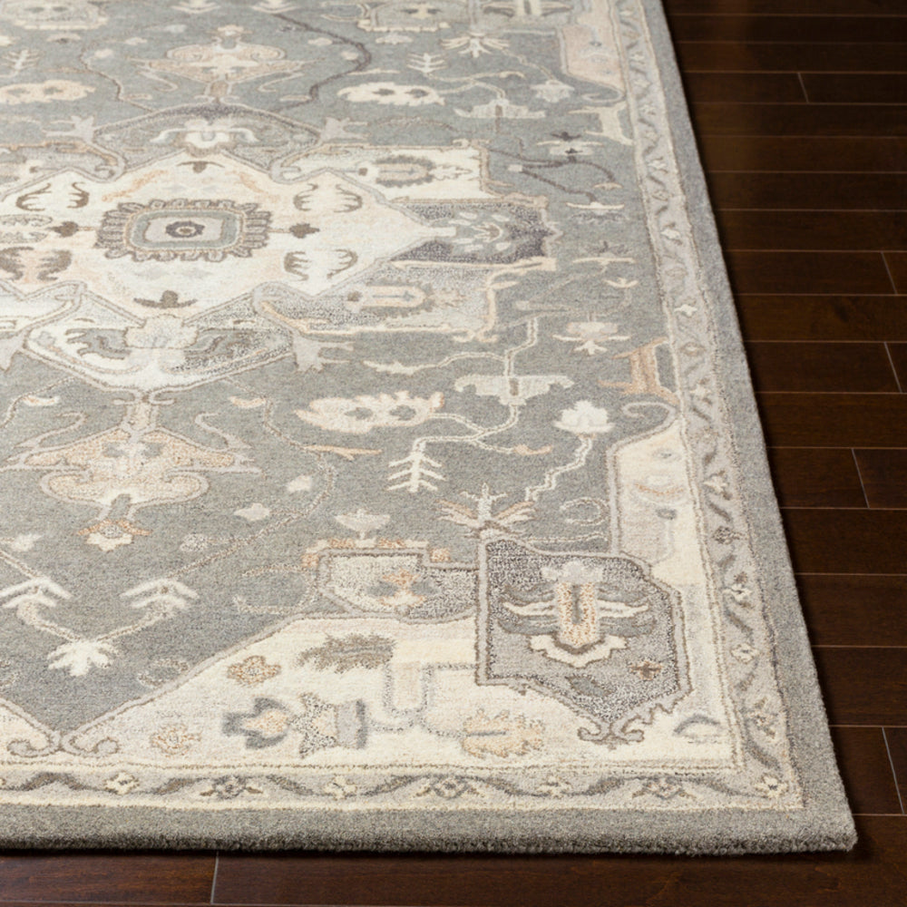 Surya rug co. | charcoal rug | Caesar | rugs done right