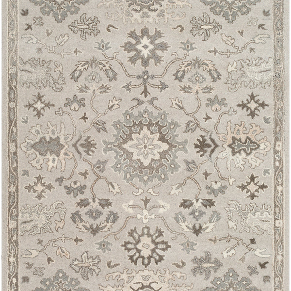 Livabliss Caesar CAE-1197 Taupe Rug