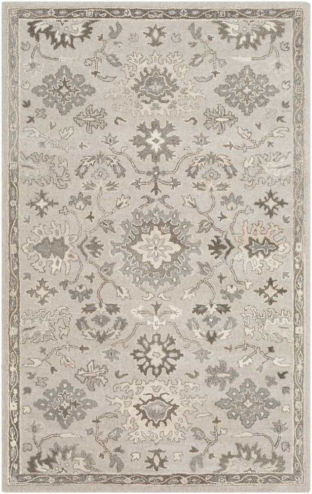 Livabliss Caesar CAE-1197 Taupe Rug