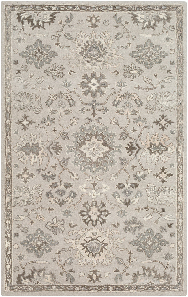 Livabliss Caesar CAE-1197 Taupe Rug