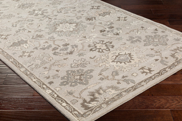 Livabliss Caesar CAE-1197 Taupe Rug