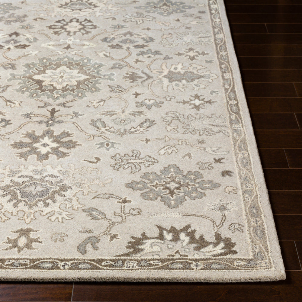 Livabliss Caesar CAE-1197 Taupe Rug