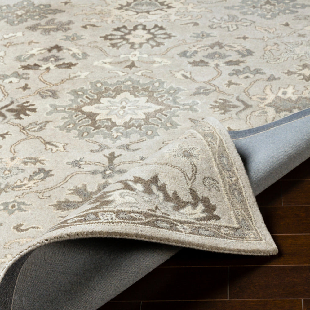 Livabliss Caesar CAE-1197 Taupe Rug