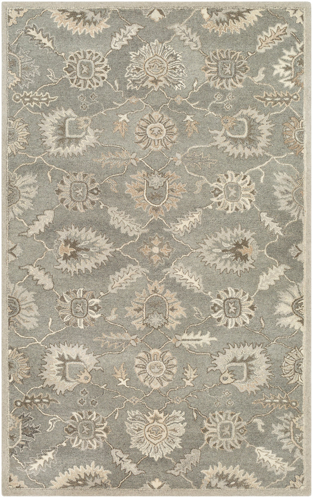 Surya rug co. | charcoal rug | Caesar | rugs done right
