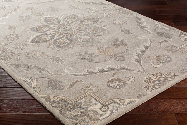 Surya rug co. | taupe rug | Caesar | rugs done right