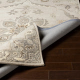 Surya rug co. | taupe rug | Caesar | rugs done right