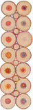 safavieh clearance cape cod cap306q red rug