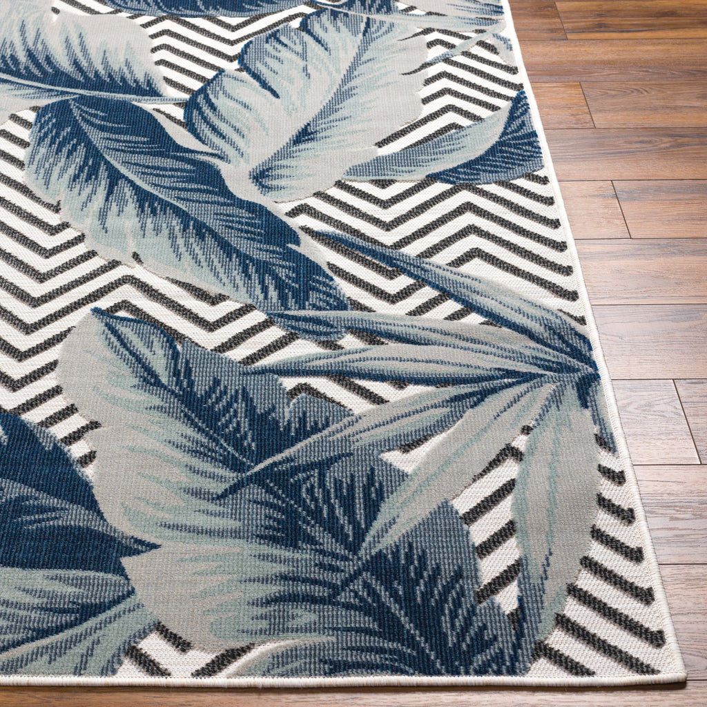 surya cabo cbo 2305 rug