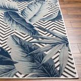 surya cabo cbo 2305 rug