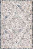 Surya Rug Co. Cardiff Medium Gray Rug | Rugs Done Right