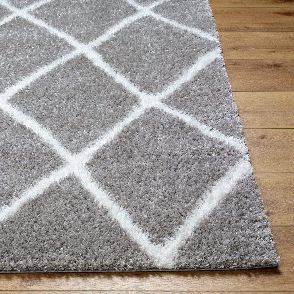 surya cloudy shag cdg 2313 sage rug