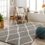 surya cloudy shag cdg 2313 sage rug